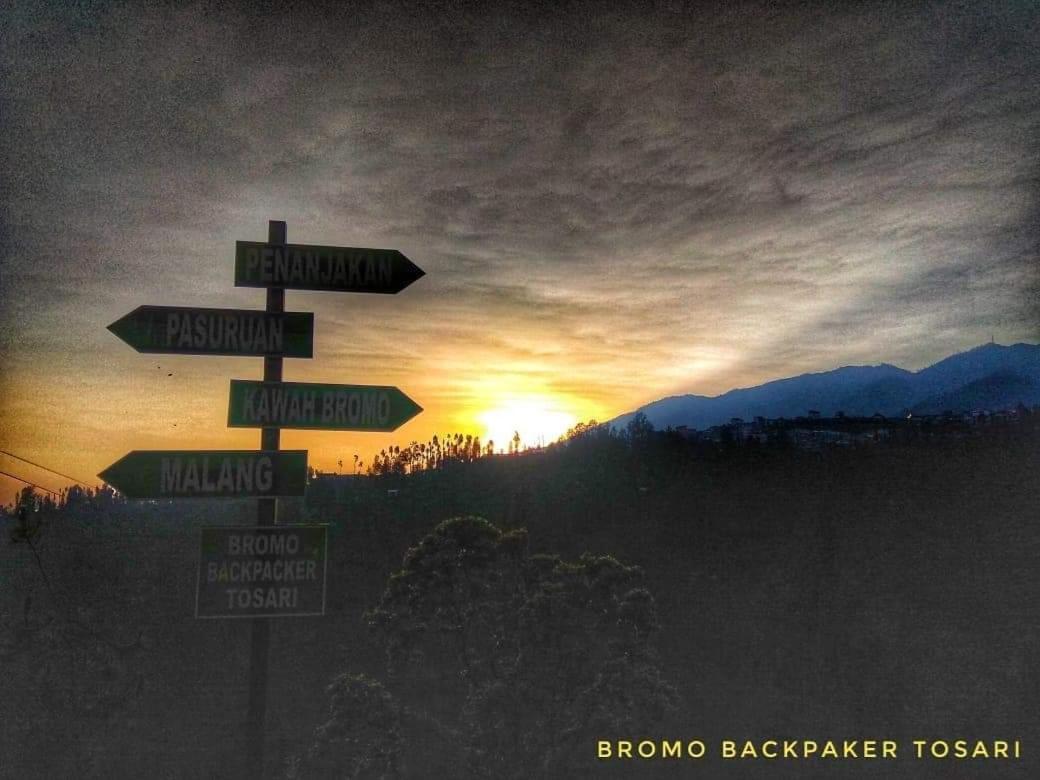 Bromo Backpacker Tosari Leilighet Pasuruan Eksteriør bilde